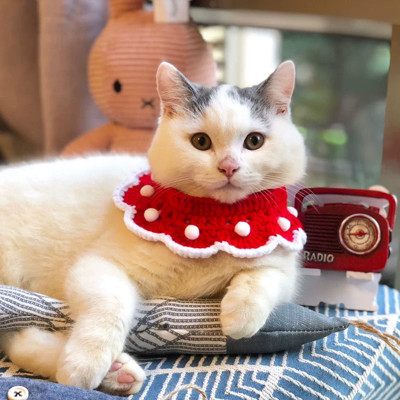 Ornament Cute Pet Cat Dog Rabbit Wool Knitted Collar