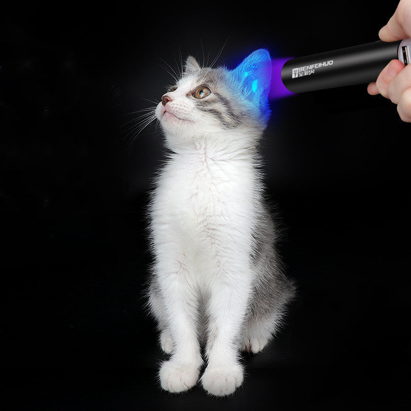 USB Charging Cat Moss Lamp Money Detection Fluorescent Agent